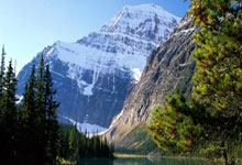 NBA即时比分直播网该怎么选?这些要点帮你找到靠谱平台